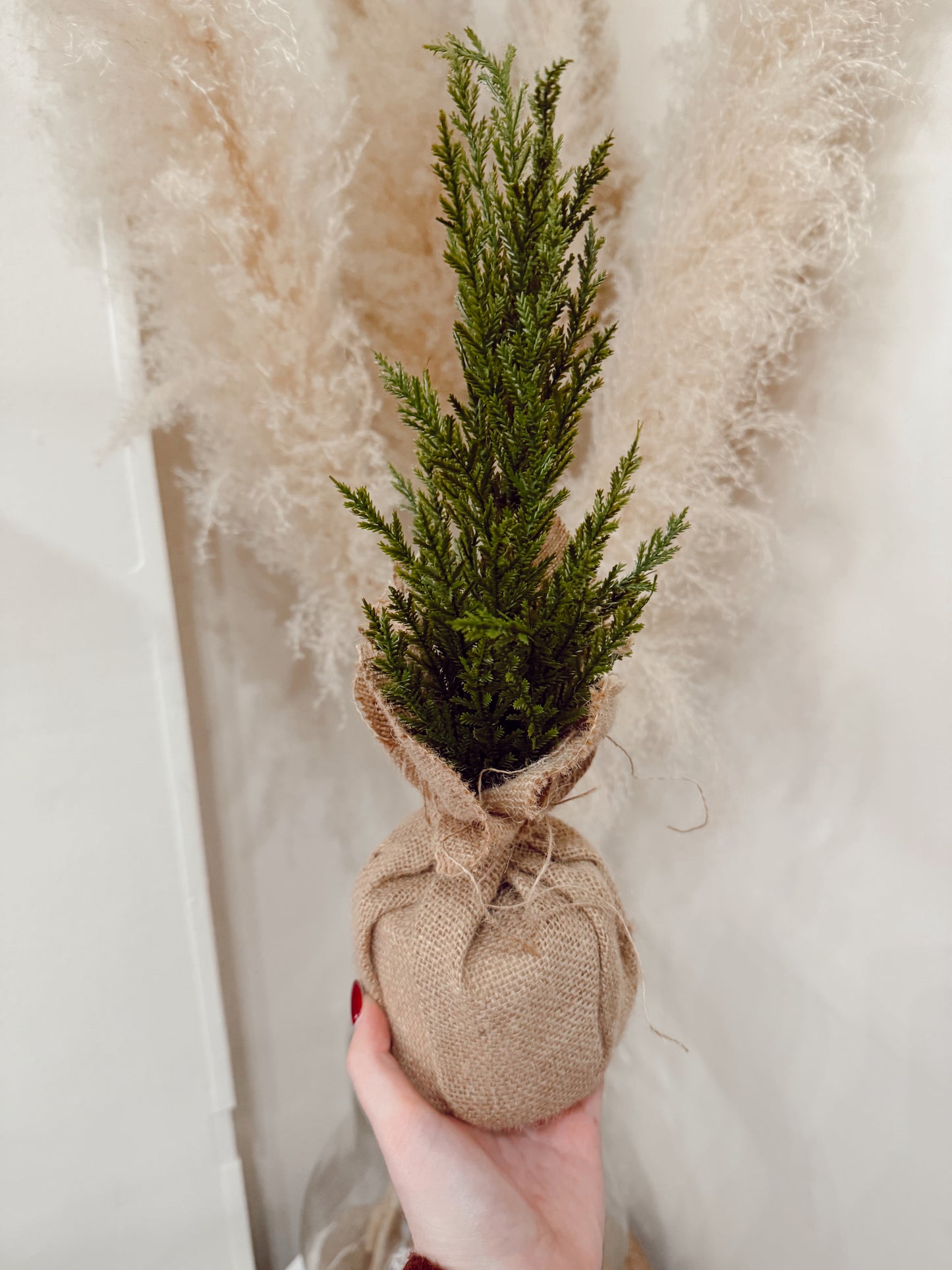 Winter Fir Christmas Tree