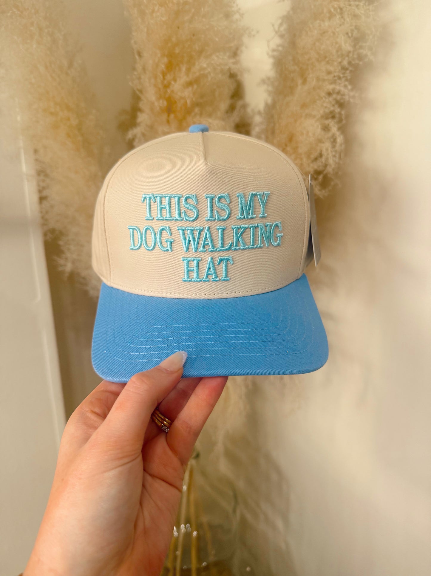 This Is My Dog Walking Hat