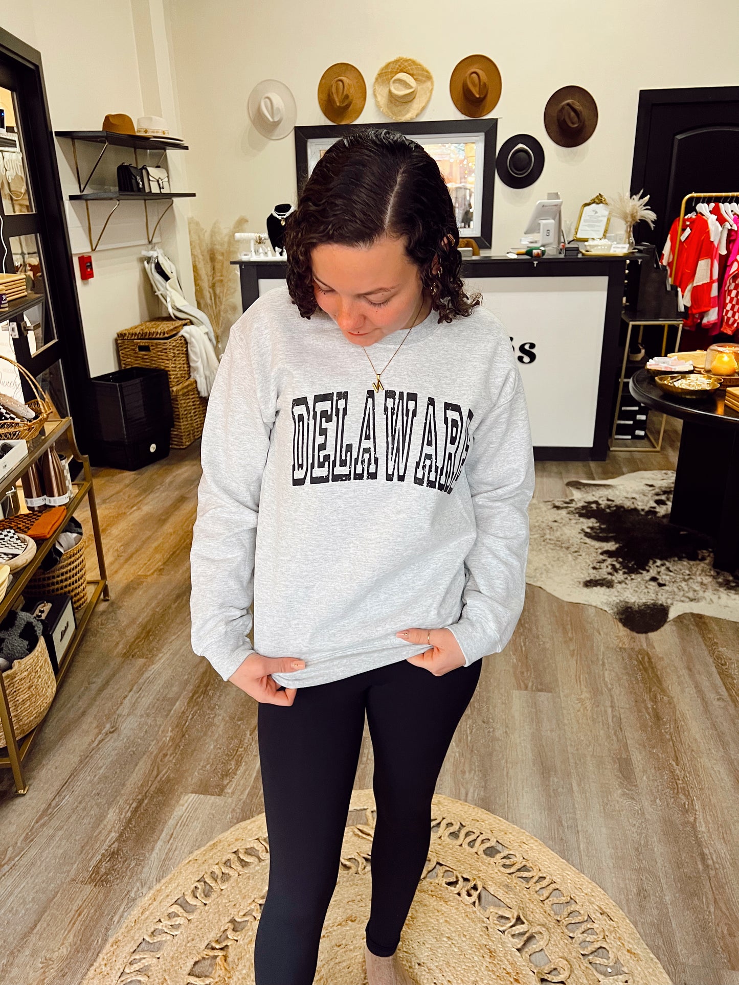 Ash Delaware Sweatshirt