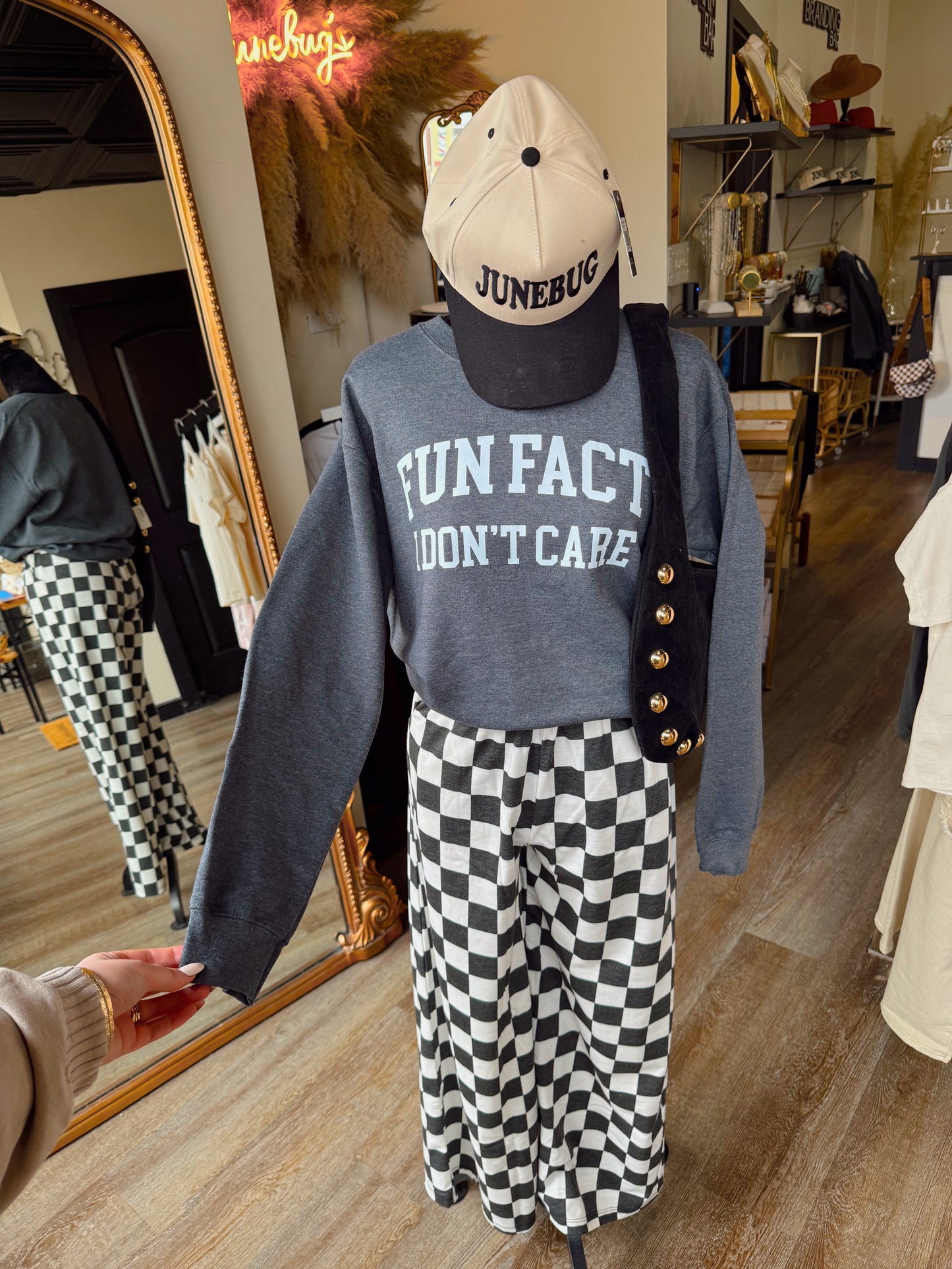 Fun Fact I Don't Care Sweatshirt
