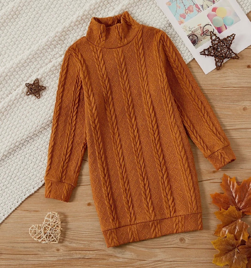 Rust Turtleneck Dress