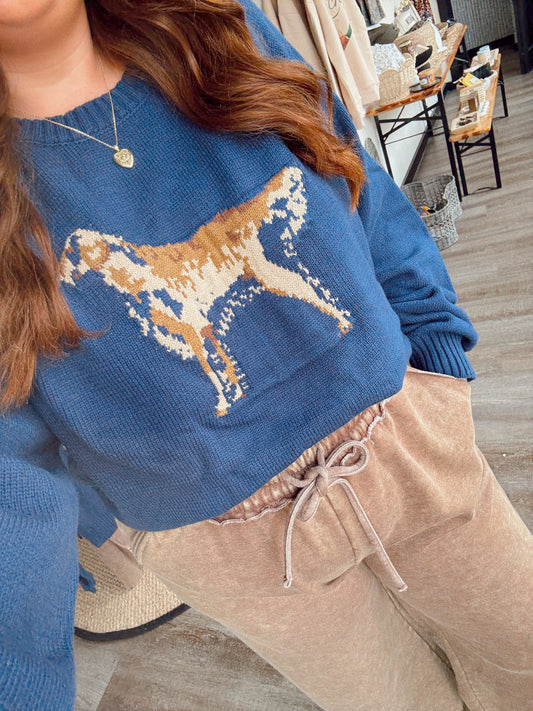 Navy Retriever Sweater