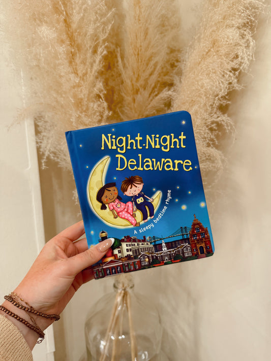Night Night Delaware Book