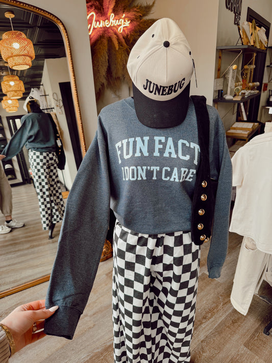 Fun Fact I Don't Care Sweatshirt