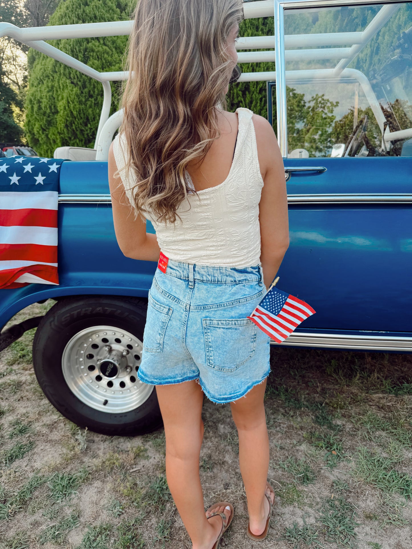 Danielle Denim Shorts