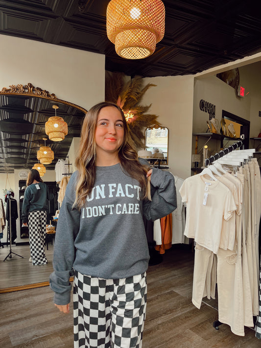 Fun Fact I Don't Care Sweatshirt